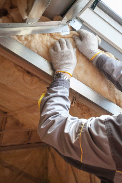 Best Eco-Friendly Insulation in Valenti, NE